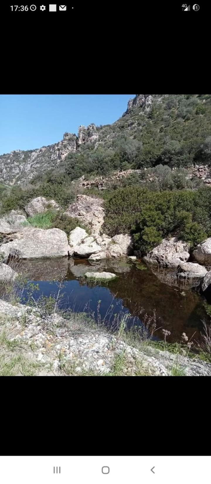 L' Arche Lägenhet Castellaneta Exteriör bild